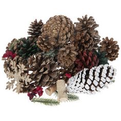 pine cones are arranged on top of each other