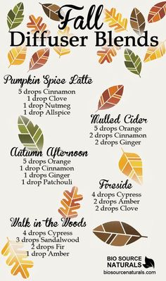 Herfstgeuren in huis 🍁🍂🍁🍂🍁🍂 Simmer Pots, Fall Diffuser Blends, Oil Diffuser Recipes, Essential Oil Diffuser Recipes, Diffuser Recipes, Essential Oil Diffuser Blends