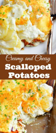 creamy and cheesy scalloped potatoes are the perfect side dish for any meal