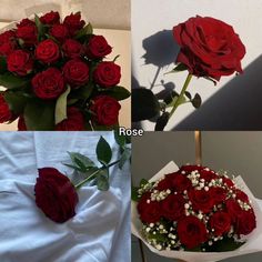 four different pictures of red roses and the same one with white baby's breath