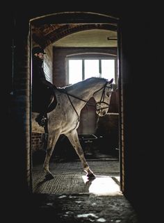 a person riding on the back of a white horse in an open doorway at night