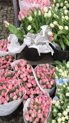 several baskets filled with pink and white tulips