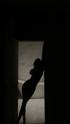 a dog is standing in the dark with its head up and his paw on the door