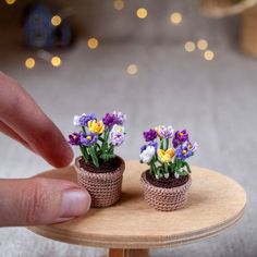 two tiny crocheted potted plants sitting on top of a wooden table