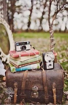 an old suitcase with books and a camera on it sitting in the grass next to a tree