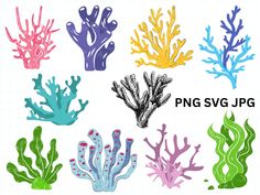 colorful corals and seaweed clipart set on white paper with watercolor effect