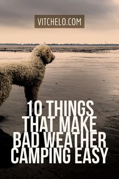 a white dog standing on top of a wet beach next to the words 10 things that make bad weather camping easy