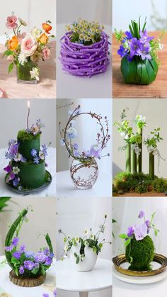 many different pictures of flowers and plants in vases