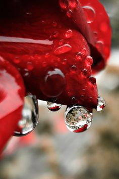 drops of water on the side of a red fire hydrant