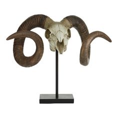 an animal skull with large horns on a stand