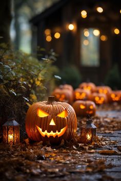 pumpkins lit up in the night with lights on them and leaves scattered around them