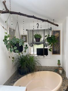 a bath tub with plants hanging from it's sides