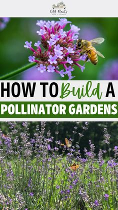 How to Build a Pollinator Garden Backyard Pollinator Garden, Full Sun Pollinator Garden, Pollinator Garden Design Ideas, Minnesota Pollinator Garden, Butterfly Garden Design Layout, Bee Inquiry