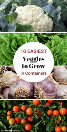 different types of vegetables with the title text overlay that reads, 6 easy veggies to grow in containers