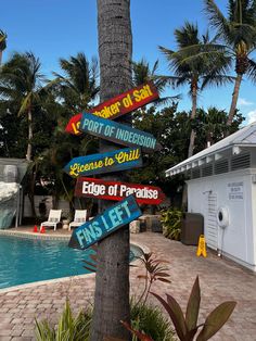 a palm tree next to a swimming pool with many signs pointing in different directions on it