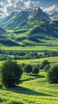 the mountains are covered in green grass and trees