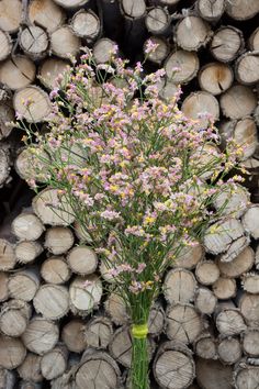 Fresh cut Limonium flowers are a great fillers for arrangements and bouquets. Each stem has hundreds of small and colorful blooms. A few Limonium bunches can go a long way. This is a strong medium vase life flower. We pack it in bunches of 9 -10 stems. Stem length: 70 cm. Check the information box below for cm to inches conversion. Cm To Inches Conversion, Top Farm, Life Flower, Flower Care, Flower Food, Fresh Cut, All Flowers, Flower Of Life, Cut Flowers