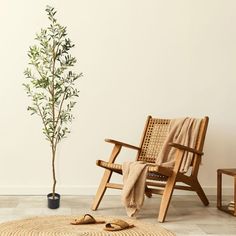 a wooden chair sitting next to a small tree