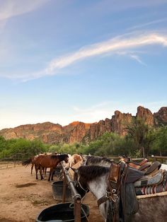 horses are drinking water from a trough in the desert with mountains and trees behind them