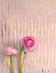 two pink flowers sitting on top of a table