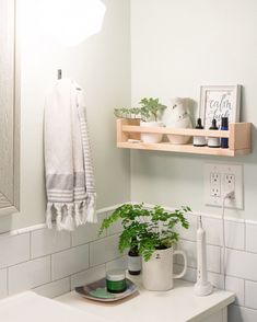 a bathroom with a sink, mirror and plants on the shelf in front of it