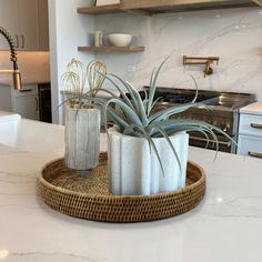 two silver vases with air plants in them on a tray at the kitchen counter