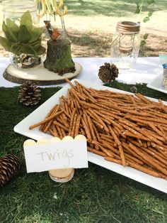 a table topped with lots of food on top of a grass covered field next to pine cones