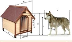 a dog house with measurements for the top and bottom part, shown in front of it