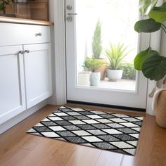 a white door with a potted plant next to it and a rug on the floor