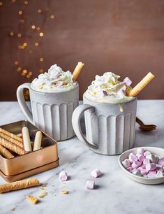 two mugs filled with hot chocolate, marshmallows and graham crackers