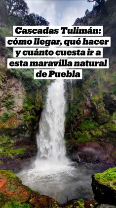 a large waterfall in the middle of a lush green forest