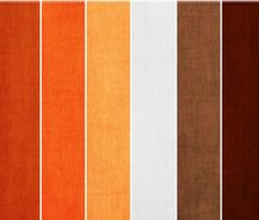 an orange and white color scheme with different shades