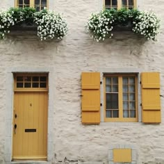 two windows with yellow shutters and white flowers