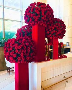 two red vases with roses in them sitting on top of a white counter next to a window