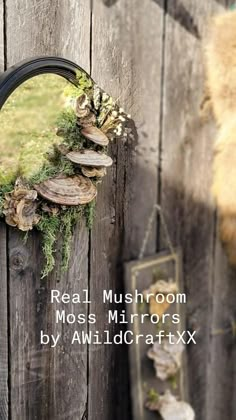 a mirror hanging on the side of a wooden fence with moss and mushrooms in it