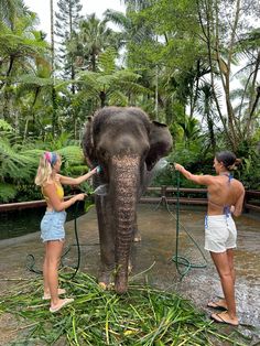 two women are washing an elephant in the water with hoses on its trunk and another woman is standing next to it