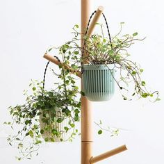 two hanging planters with plants in them on a wooden pole against a white wall