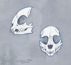 two drawings of different types of skulls