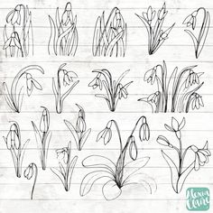 hand drawn flowers and plants on lined notebook paper - freehand sketching stock illustrations