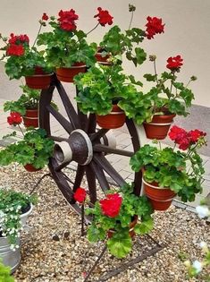 several potted plants in front of a wheel with flowers growing out of it on the ground