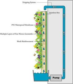 an image of a water source diagram with the words pump and drainage system below it