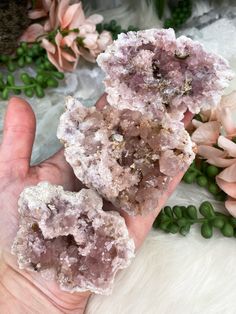 Argentinian-Pink-Amethyst-Geode Lavender Healing Crystals Raw Stone, Pink Natural Stones Crystals For Healing, Pink Healing Gemstone Crystals, Pink Spiritual Gemstone Crystals, Spiritual Pink Crystals Gemstone, Geode Crystals, Crystals Pink, Crystal Formations, Amethyst Crystals