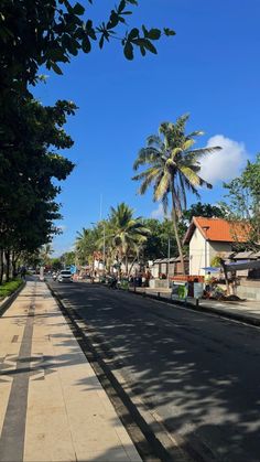 an empty street lined with palm trees and houses