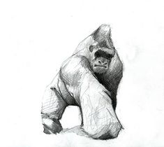 a black and white drawing of a gorilla sitting on its hind legs with his head turned to the side