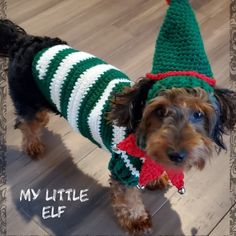 a small dog wearing a green and white striped sweater with a christmas hat on it's head