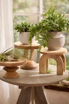 three potted plants sitting on top of wooden stands in front of a large window