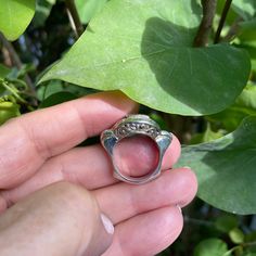 A lovely plain sterling silver ring. A highly polished rectangular plaque is mounted on beautiful scrolled wire work. The shank of the ring is sculptural and gives this ring the look and feel of another time and place. That design is 3 cm wide x 1.5 cm Only in size 6.75 and size 7 Polish Silver, Wire Work, Shiny Silver, Sterling Silver Ring, Statement Rings, Silver Ring, Sterling Silver Rings, Silver Rings, Size 7