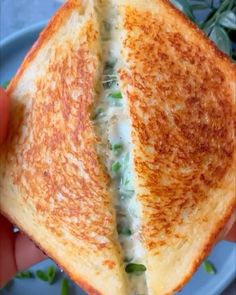 a grilled cheese sandwich with green onions on it