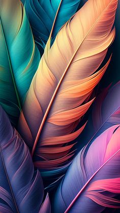 an image of colorful feathers on a black background