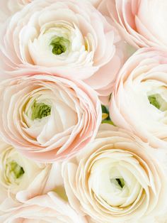 a close up view of pink and white flowers